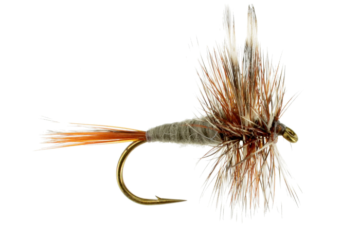 Example of the Adams Dry Fly