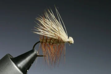 Example of a Elk Hair Caddis Fly