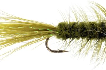 Example of a Bead Head Woolly Bugger Fly