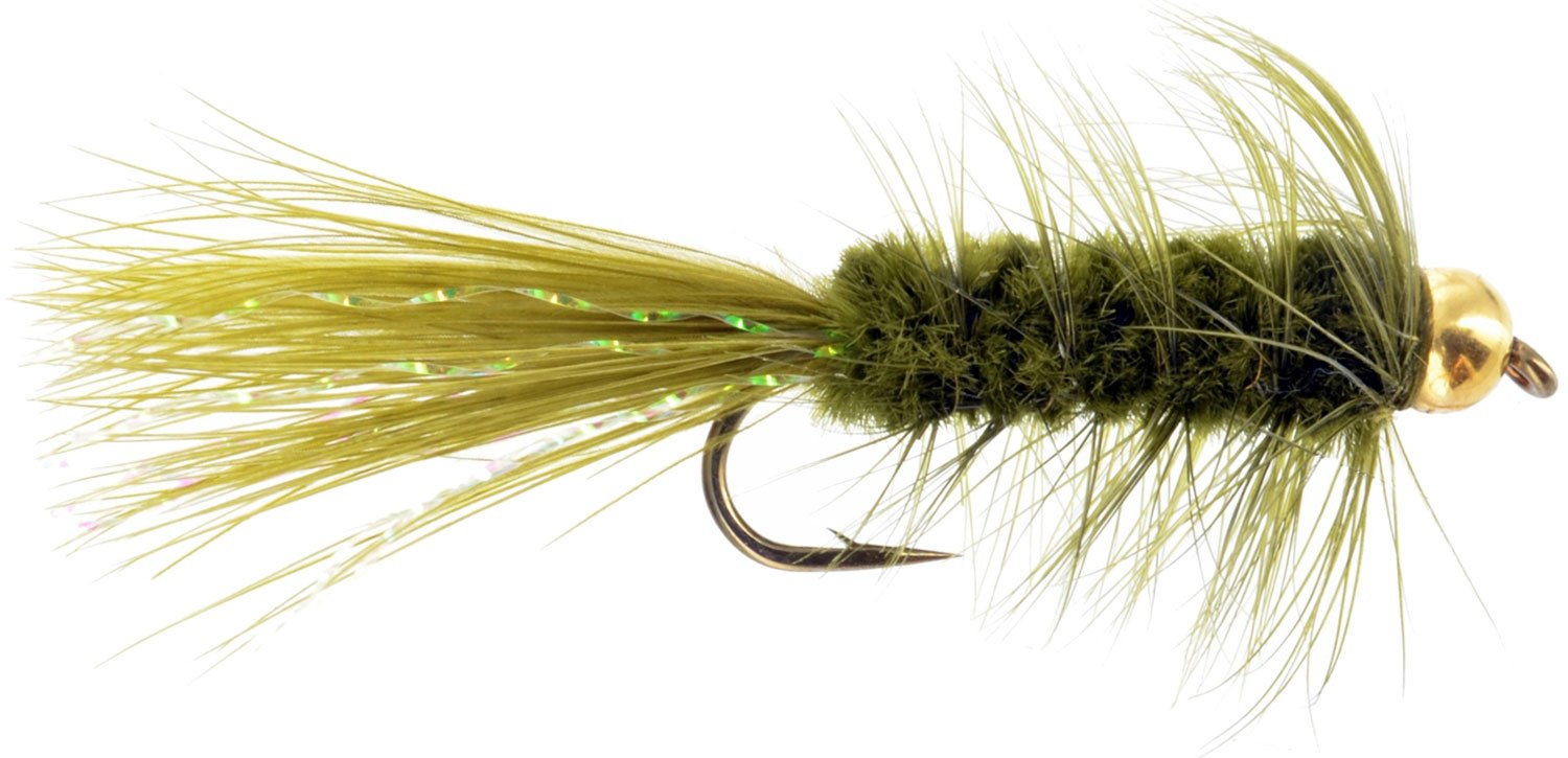 Example of a Bead Head Woolly Bugger Fly