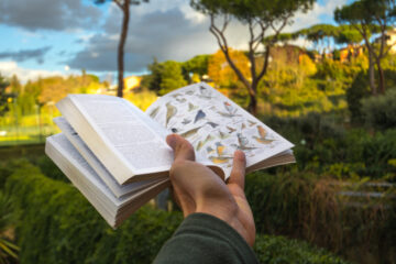 Birder using field guide to identify birds