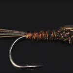 Example of the Pheasant Tail Nymph Fly