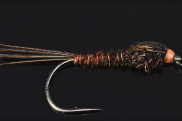 Example of the Pheasant Tail Nymph Fly