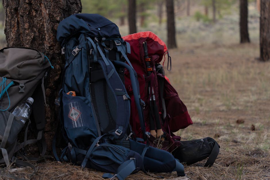 How to Pack a Daypack for Hiking: Essential Organization Tips - Image 2