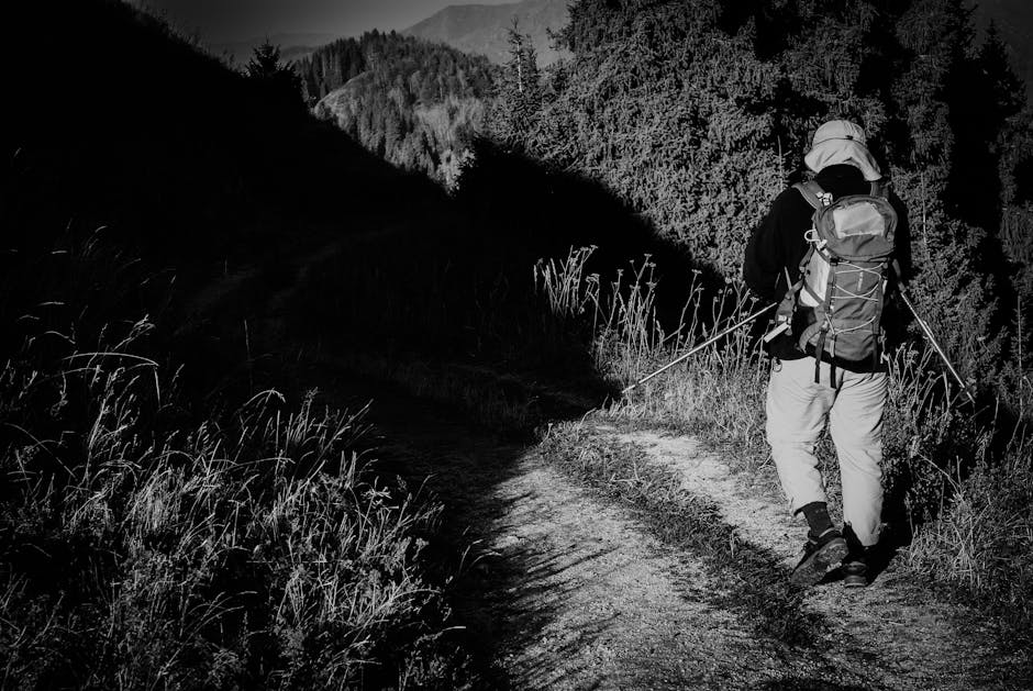 How to Pack a Daypack for Hiking: Essential Organization Tips - Image 3